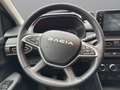 Dacia Sandero III Stepway Extreme+ 1.0 TCe 100 LPG EU6d Grau - thumbnail 6
