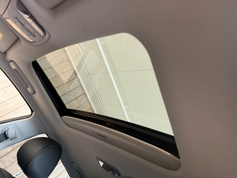 Kia e-Niro Dyn.PlusLine 39 kWh — photo 13