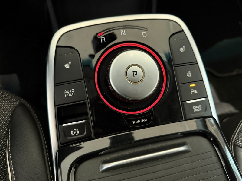 Kia e-Niro Dyn.PlusLine 39 kWh — photo 10