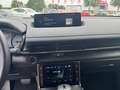 Mazda MX-30 2025 e-SKYACTIV R-EV 170 AT FWD Nagisa Gris - thumbnail 15