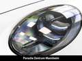 Porsche 992 -2 Carrera 4 GTS Cabrio HD-Matrix 18-Wege Nachtisc Weiß - thumbnail 14