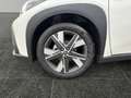 Toyota Aygo X 1,5 l Active CVT Weiß - thumbnail 15