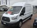 Ford Transit 350 2.0TDCi 130cv PM-TM *Motore Nuovo* Piu' Iva Blanc - thumbnail 1