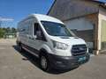 Ford Transit 350 L4 Trend Weiß - thumbnail 3