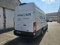 Ford Transit 350 L4 Trend Weiß - thumbnail 7