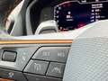 CUPRA Formentor 1.5 TSI 110kW (150 CV) DSG Gris - thumbnail 18