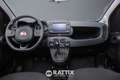 Fiat Panda 1.0 Firefly Hybrid 70CV Cross 5p.ti Rosso - thumbnail 8