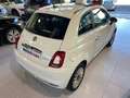 Fiat 500 1.0 Hybrid Dolcevita 52kW Weiß - thumbnail 12