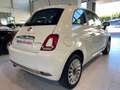 Fiat 500 1.0 Hybrid Dolcevita 52kW Weiß - thumbnail 11
