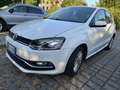 Volkswagen Polo 5p 1.4 tdi Comfortline 75cv - thumbnail 7