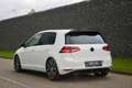 Volkswagen Golf GTI 7 Performance | DSG – ACC – DynAudio Bianco - thumbnail 4