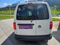 Volkswagen Caddy Kasten BlueMotion Weiß - thumbnail 15