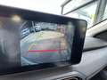 Dacia Sandero Stepway Extreme+ Eco-G 100 PS Blanco - thumbnail 13