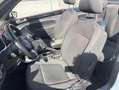Volkswagen Beetle Cabrio Karmann 1.2 TSI 105CV BMT Blanco - thumbnail 24