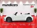 Volkswagen Beetle Cabrio Karmann 1.2 TSI 105CV BMT Blanco - thumbnail 7