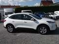 Ford Kuga 2.5 PHEV Plug-In Hybrid Cool & Connect Navi DAB Blanc - thumbnail 6