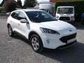 Ford Kuga 2.5 PHEV Plug-In Hybrid Cool & Connect Navi DAB Blanc - thumbnail 5