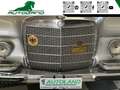 Mercedes-Benz 280 280 S Iscritta ASI e Registro Storico Mercedes Gris - thumbnail 15