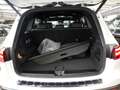 Mercedes-Benz EQB 250 + , AMG 360 KAMERA PANO SPUR STANDH PDC Weiß - thumbnail 14