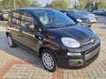 Fiat Panda 1.0 FireFly Hybrid 70cv S&S 5 Posti IVA ESPOSTA!! Schwarz - thumbnail 1