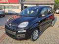 Fiat Panda 1.0 FireFly Hybrid 70cv S&S 5 Posti IVA ESPOSTA!! Schwarz - thumbnail 2