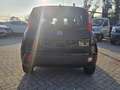 Fiat Panda 1.0 FireFly Hybrid 70cv S&S 5 Posti IVA ESPOSTA!! Schwarz - thumbnail 6