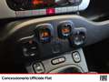 Fiat Panda 1.2 city cross s&s 69cv my19 Vert - thumbnail 13