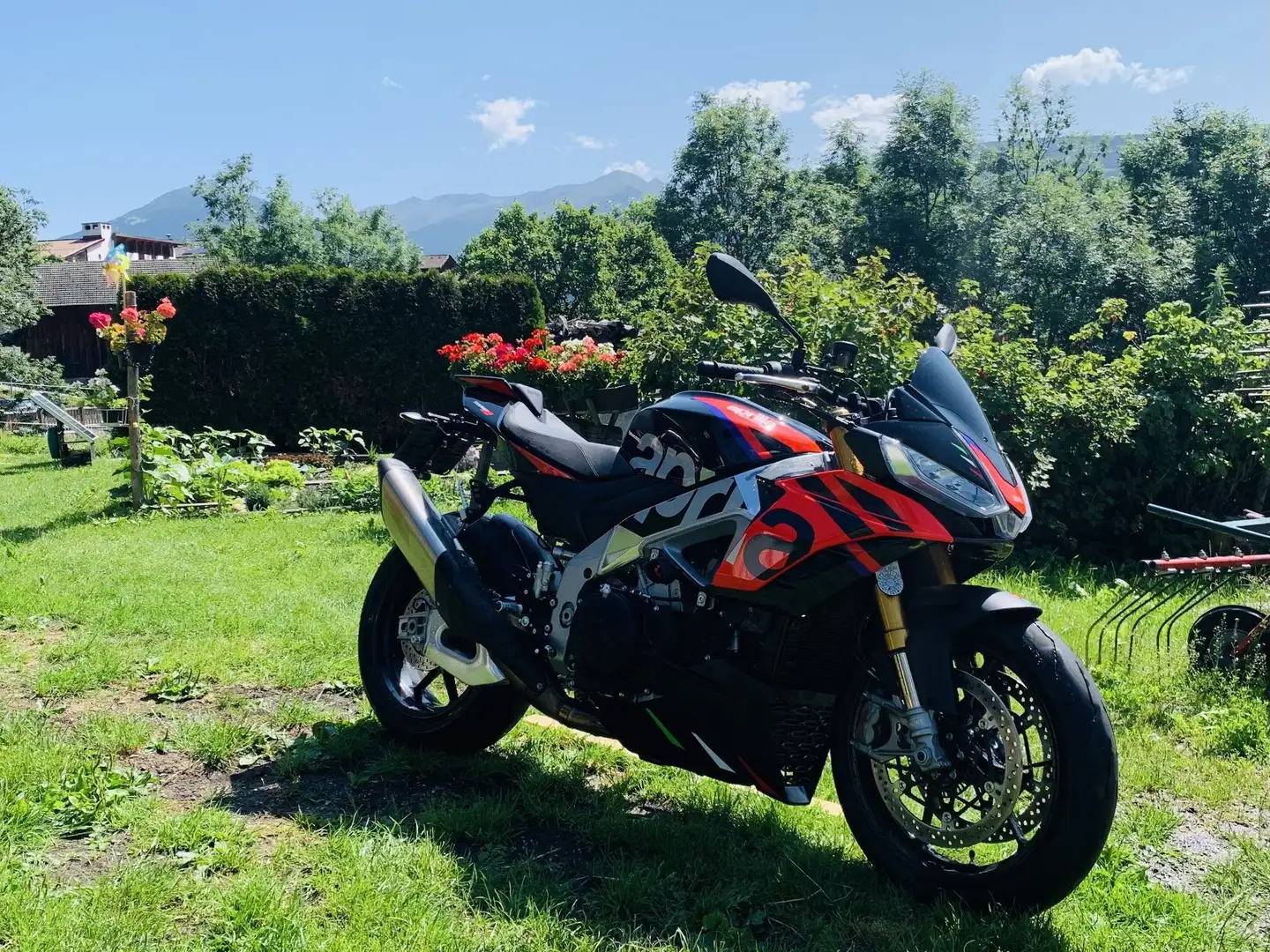 Aprilia Tuono 1100 Aprilia Tuono Factory Rot - 2