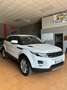 Land Rover Range Rover Evoque 2.2L eD4 Pure 4x2 Blanco - thumbnail 2
