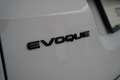 Land Rover Range Rover Evoque S D165 Weiß - thumbnail 20