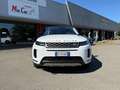 Land Rover Range Rover Evoque 2.0D I4 163 CV AWD R-Dynamic SERVICE UFFICIALI Bianco - thumbnail 2