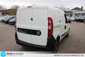 Fiat Doblo SX Kasten 1,3 JTD BITTE ERST TEXT GENAU LE Weiß - thumbnail 15