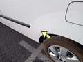 Renault Kangoo (O) Profes. M1-AF Blue dCi 70 kW(95 CV) - thumbnail 39