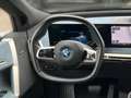 BMW iX xDrive40 Pano Sky DA Prof 22" LC Prof AHK H/K Schwarz - thumbnail 13