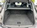 BMW iX xDrive40 Pano Sky DA Prof 22" LC Prof AHK H/K Schwarz - thumbnail 10