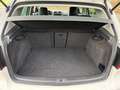 Volkswagen Golf Golf 1.4TSI Highline Facelift KIT CARACTERE UNIQUE Weiß - thumbnail 16