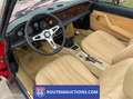 Fiat 124 Spider 1980 | Route 66 auctions Rojo - thumbnail 4