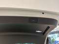 Skoda Superb 2.0 TDI EVO SCR DSG Wagon Executive Bianco - thumbnail 14