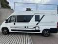 Caravans-Wohnm Adria TWIN 600 SP Axess ALL-IN Solar, Kamera, Markise Blanc - thumbnail 5