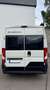 Caravans-Wohnm Adria TWIN 600 SP Axess ALL-IN Solar, Kamera, Markise Blanc - thumbnail 3