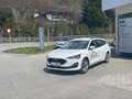 Ford Focus Turnier 1,5 EcoBlue Cool Weiß - thumbnail 5