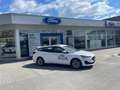 Ford Focus Turnier 1,5 EcoBlue Cool Bianco - thumbnail 12