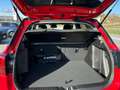 Suzuki Vitara 1.4 TOP Hybrid 4x4 ALLGRIP PROMO Bianco - thumbnail 11