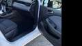 Renault Clio Blue dCi Business 74kW Blanc - thumbnail 12