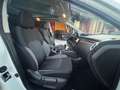 Nissan Qashqai Nissan Qashqai 1.5 dCi N-Connecta tetto 360 metall Blanc - thumbnail 16