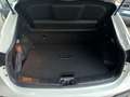 Nissan Qashqai Nissan Qashqai 1.5 dCi N-Connecta tetto 360 metall Blanc - thumbnail 24