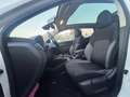 Nissan Qashqai Nissan Qashqai 1.5 dCi N-Connecta tetto 360 metall Blanc - thumbnail 13