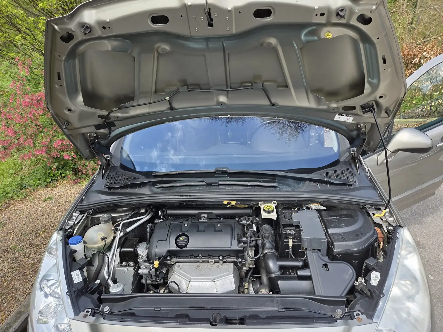 Peugeot 308 308 ws. - 1