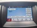 Ford Ranger Wildtrak 3,2l Doka 4x4 AHK3,5t Rollo Diff Nero - thumbnail 15