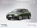 Audi A1 25 TFSI ADVANCED SITZHZG PDC SPORTS Grün - thumbnail 1